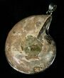 Large Ammonite Pendant #5589-1